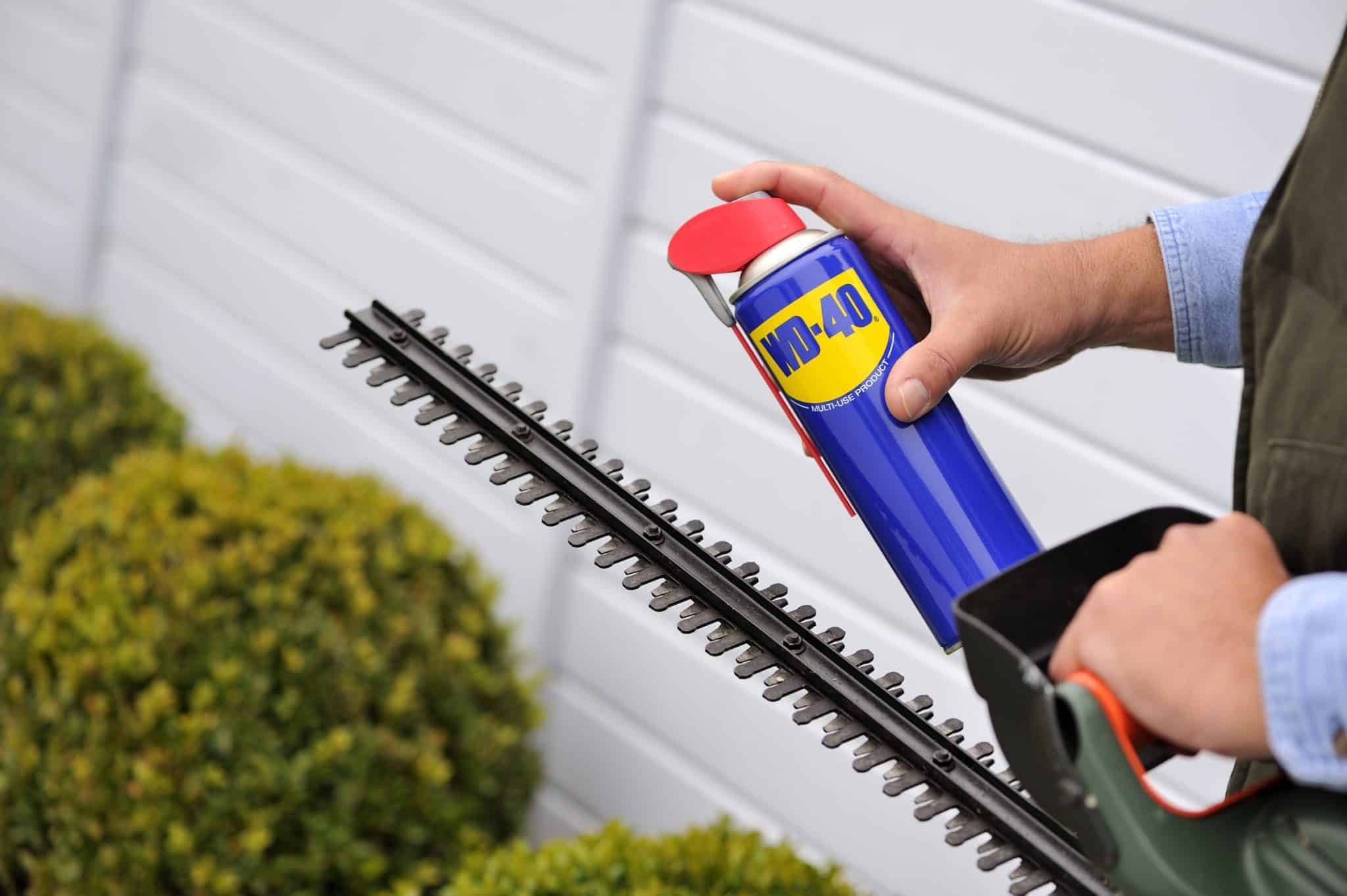 hedgetrimmer 010